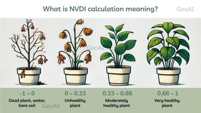 NDVI Calculation meaning