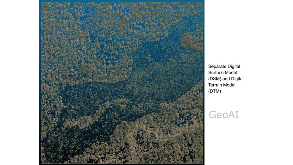 Separate Digital Surface Model (DSM) and Digital Terrain Model (DTM)