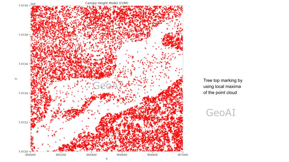 Tree top marking by using local maxima of the point cloud