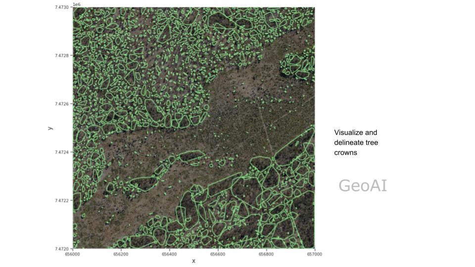 Visualize and delineate tree crowns