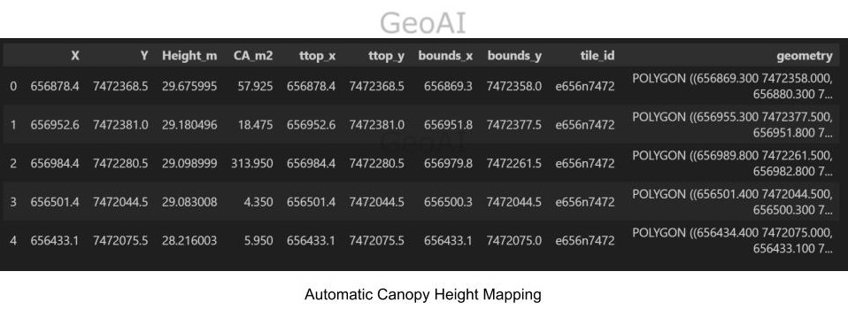 Automatic Canopy Height Mapping