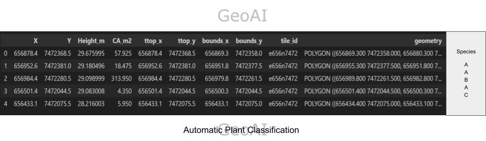 Automatic Plant Classification