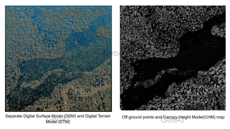 Canopy Height Mapping