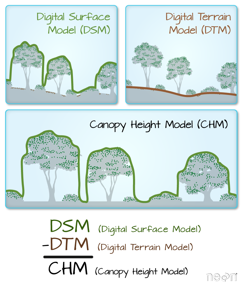 Canopy height Model (CHM) illustration