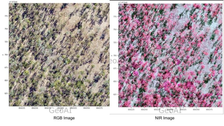 RGB vis NIR image for plan monitoring