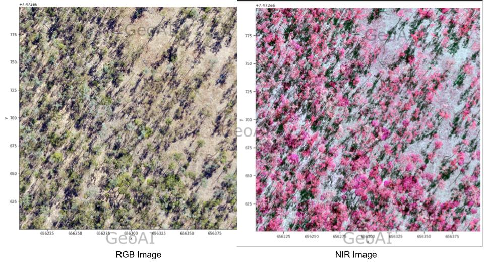 RGB vis NIR image for map of vegetation